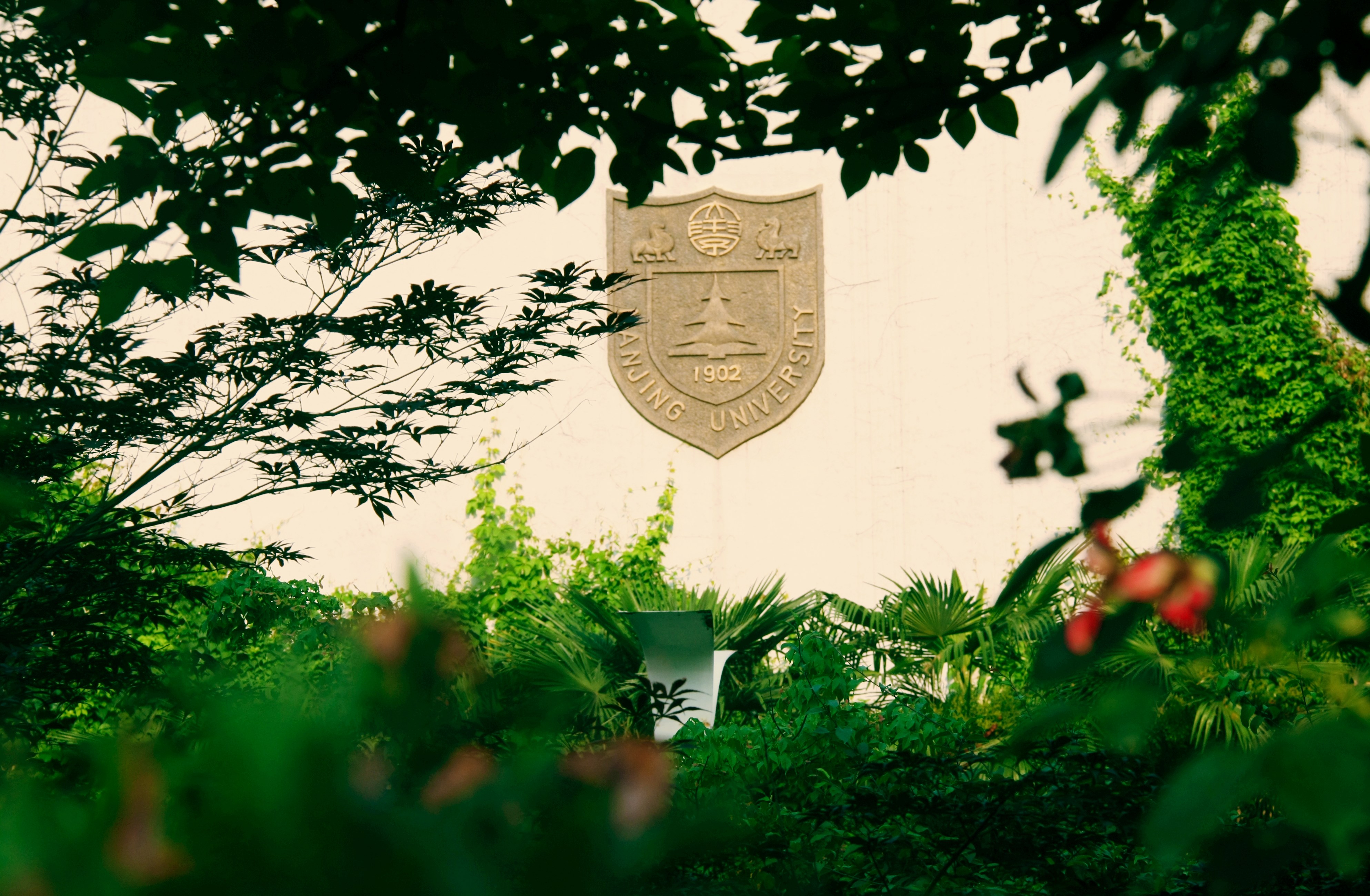 世界杯投注平台