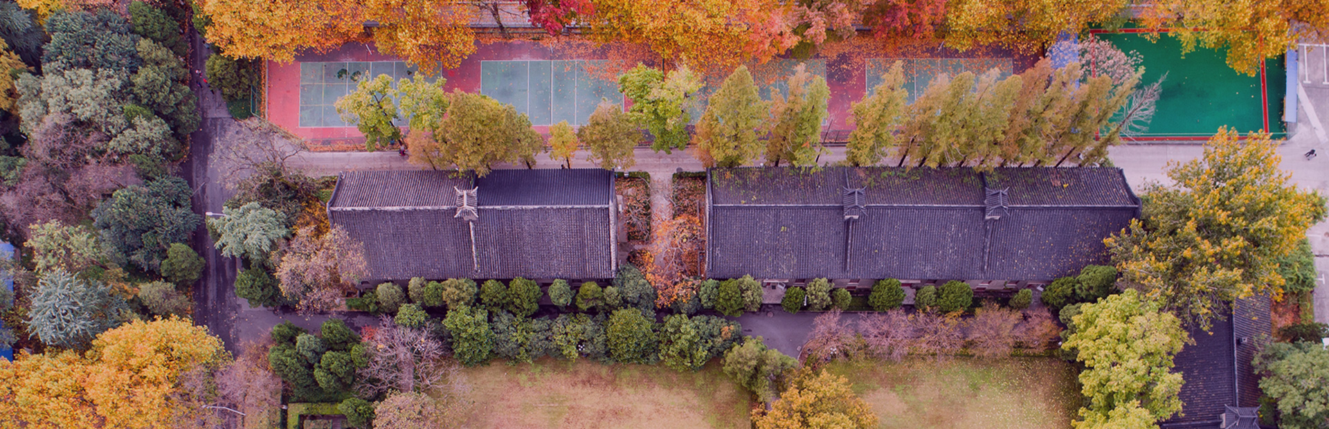 世界杯投注平台