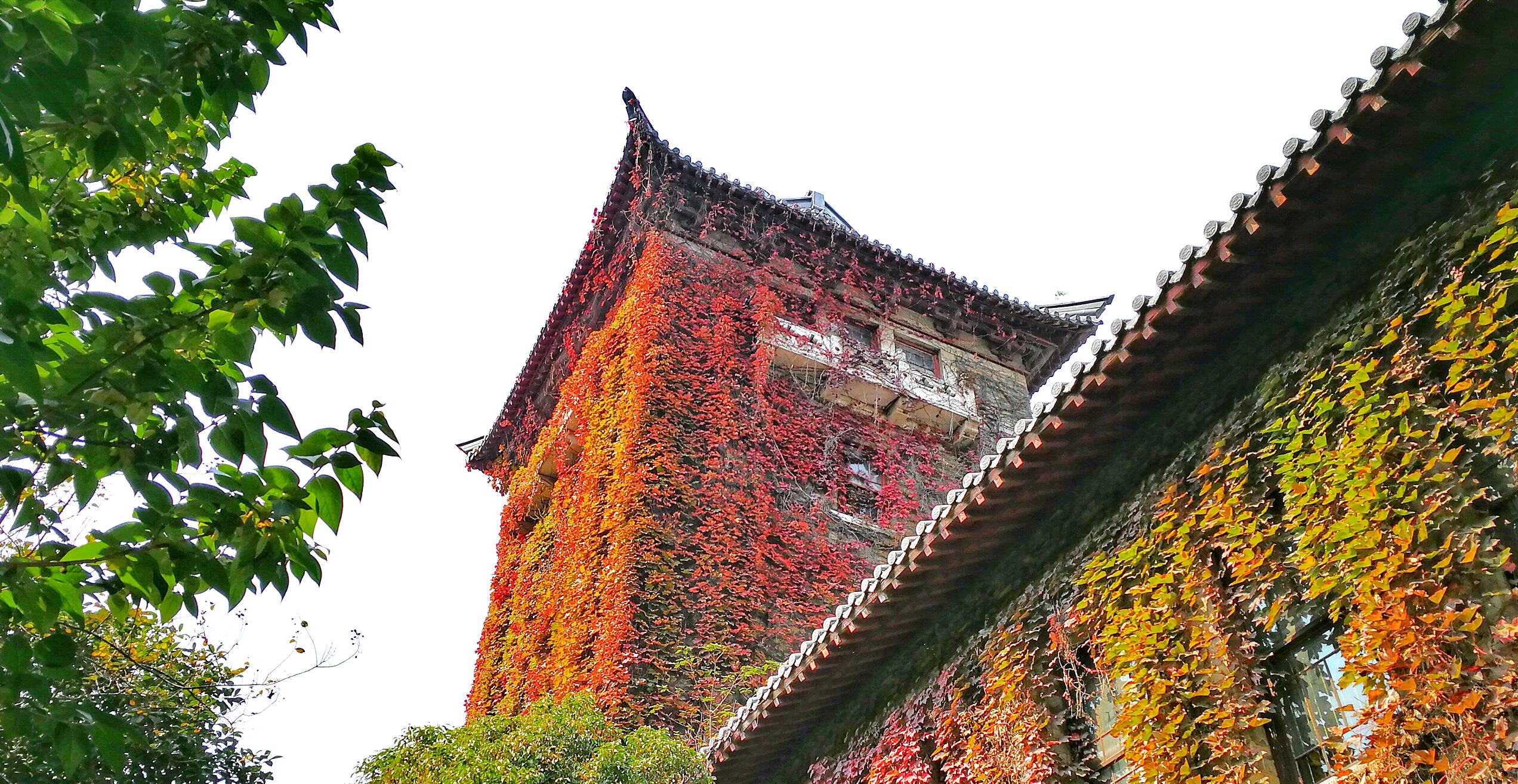 世界杯投注平台