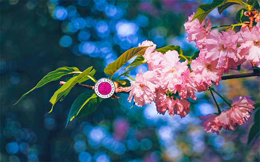 世界杯投注平台