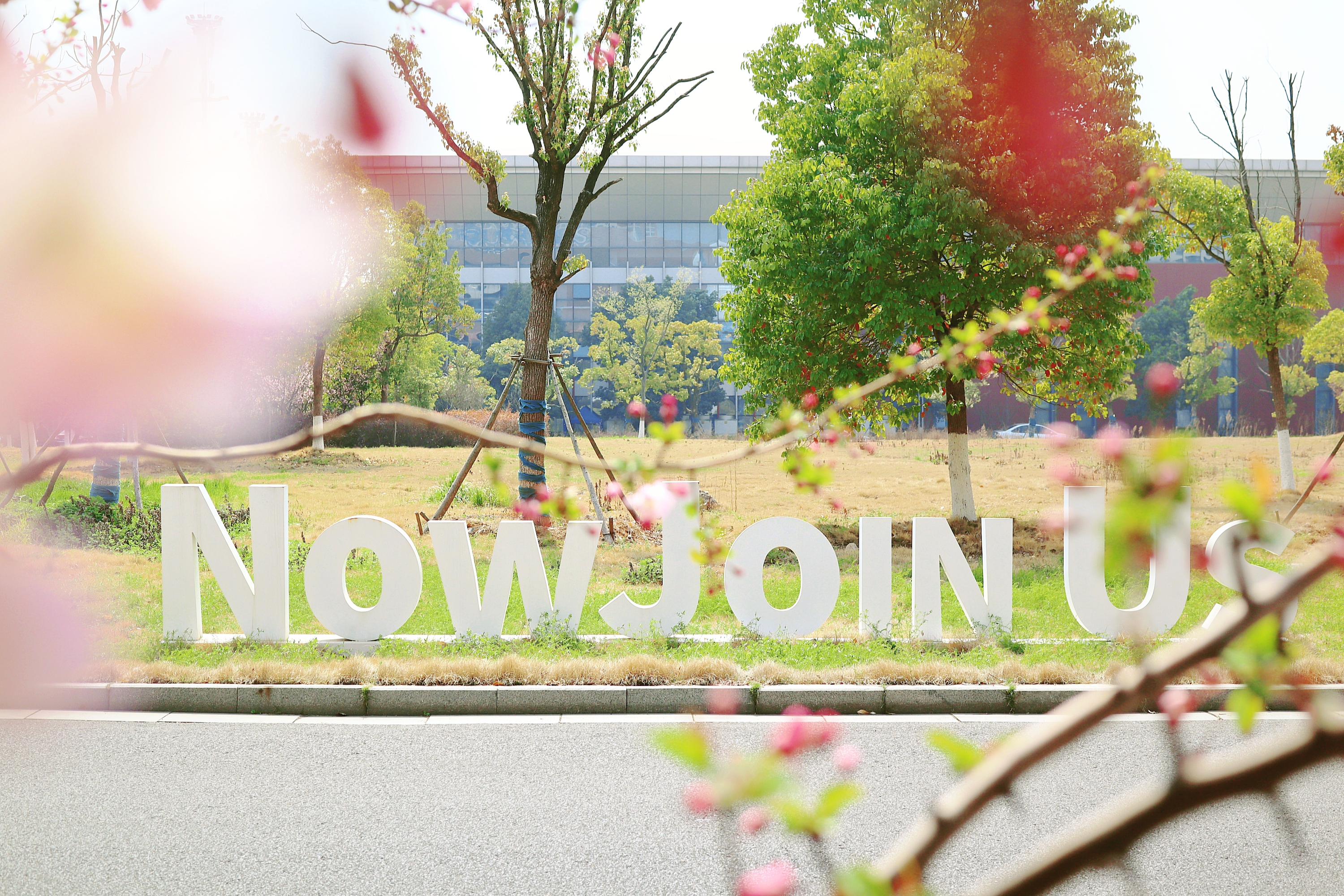 世界杯投注平台