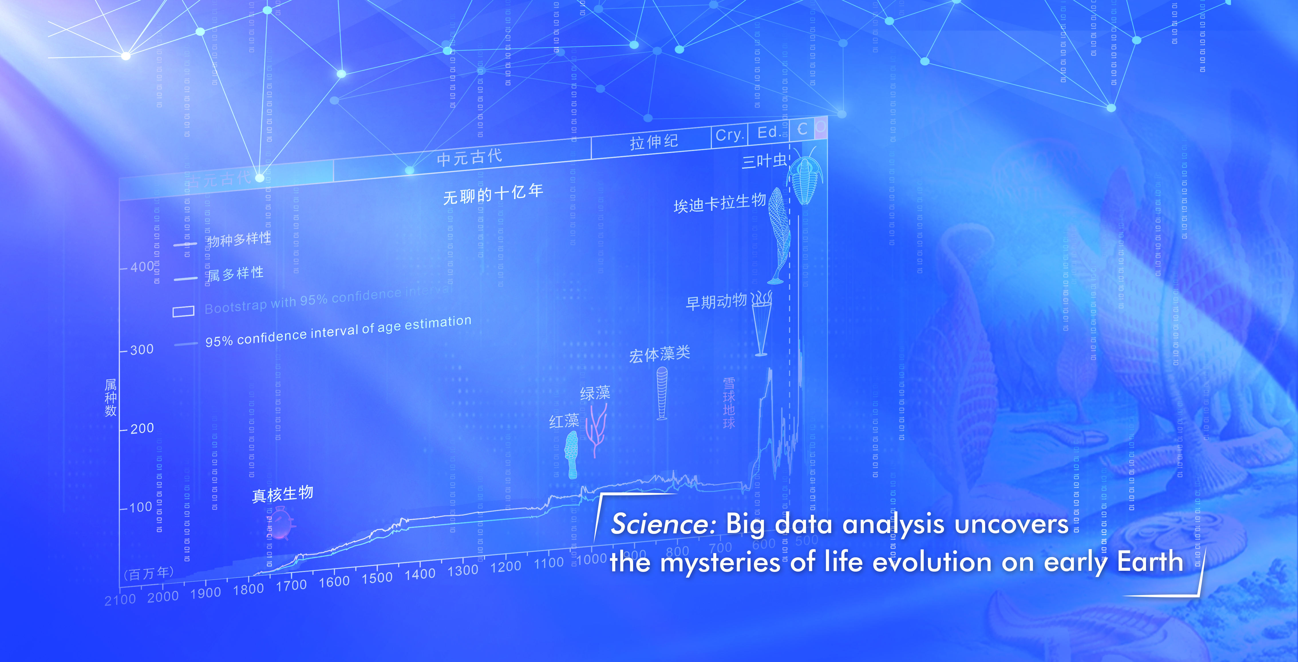 世界杯投注平台