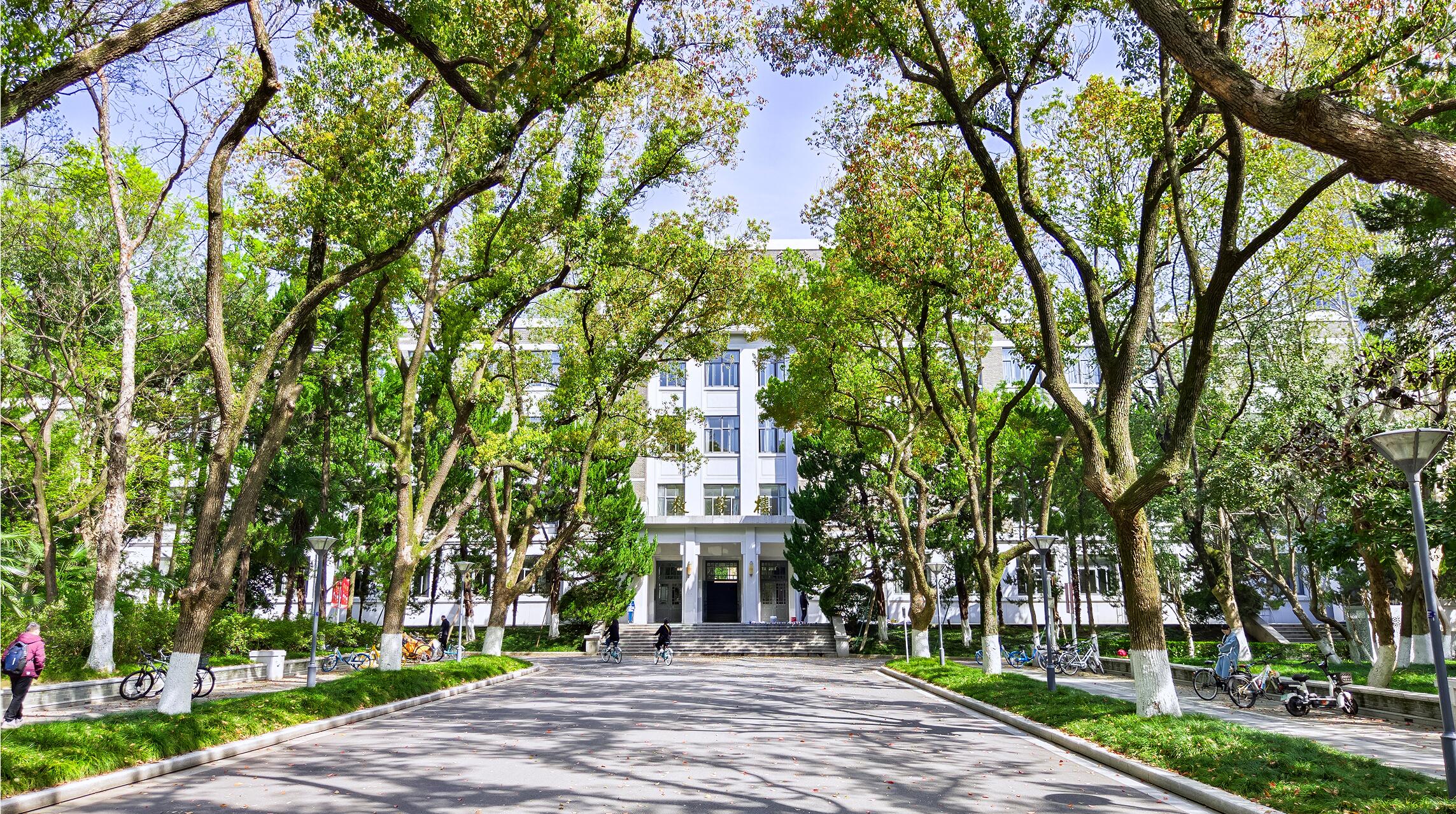 世界杯投注平台