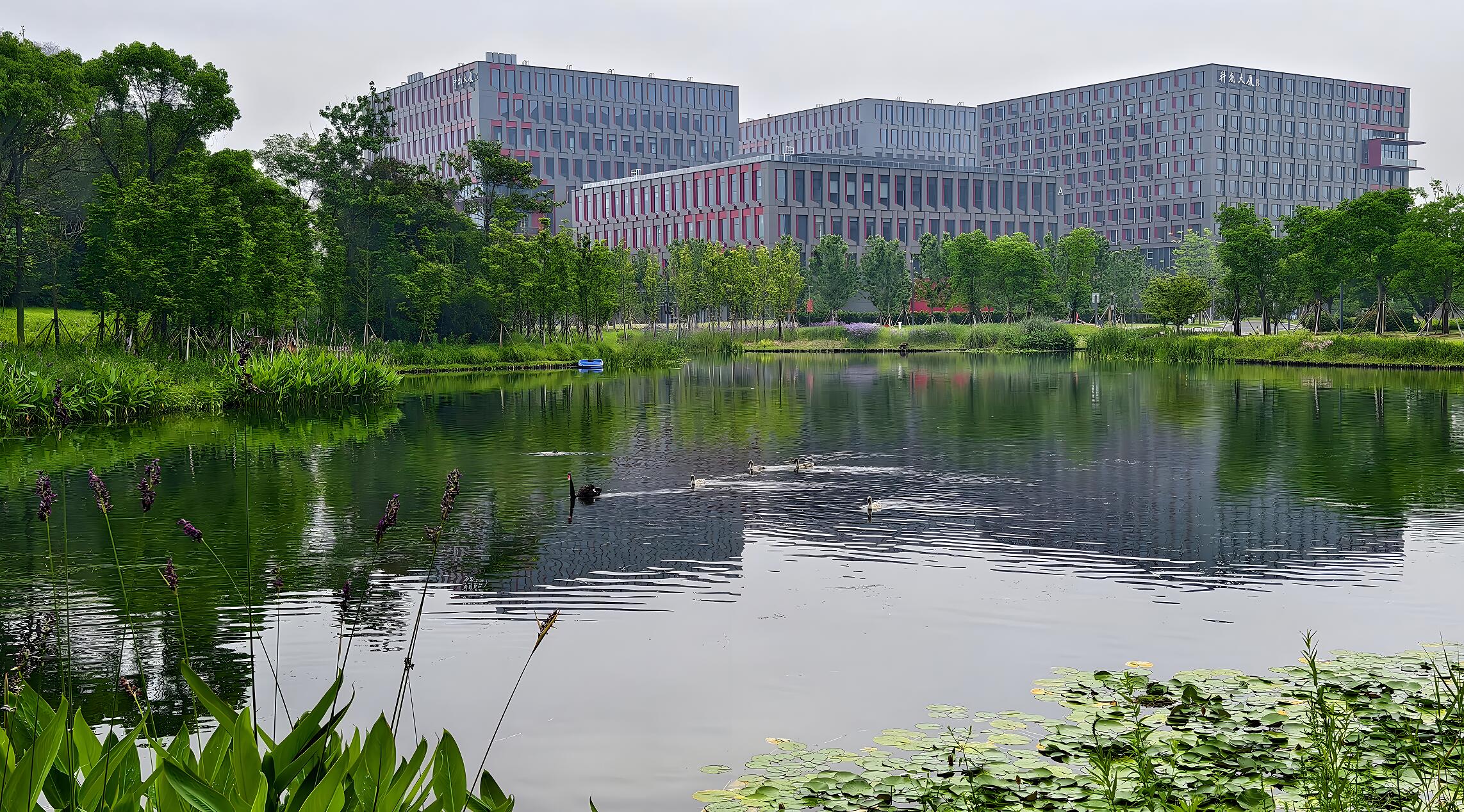 世界杯投注平台