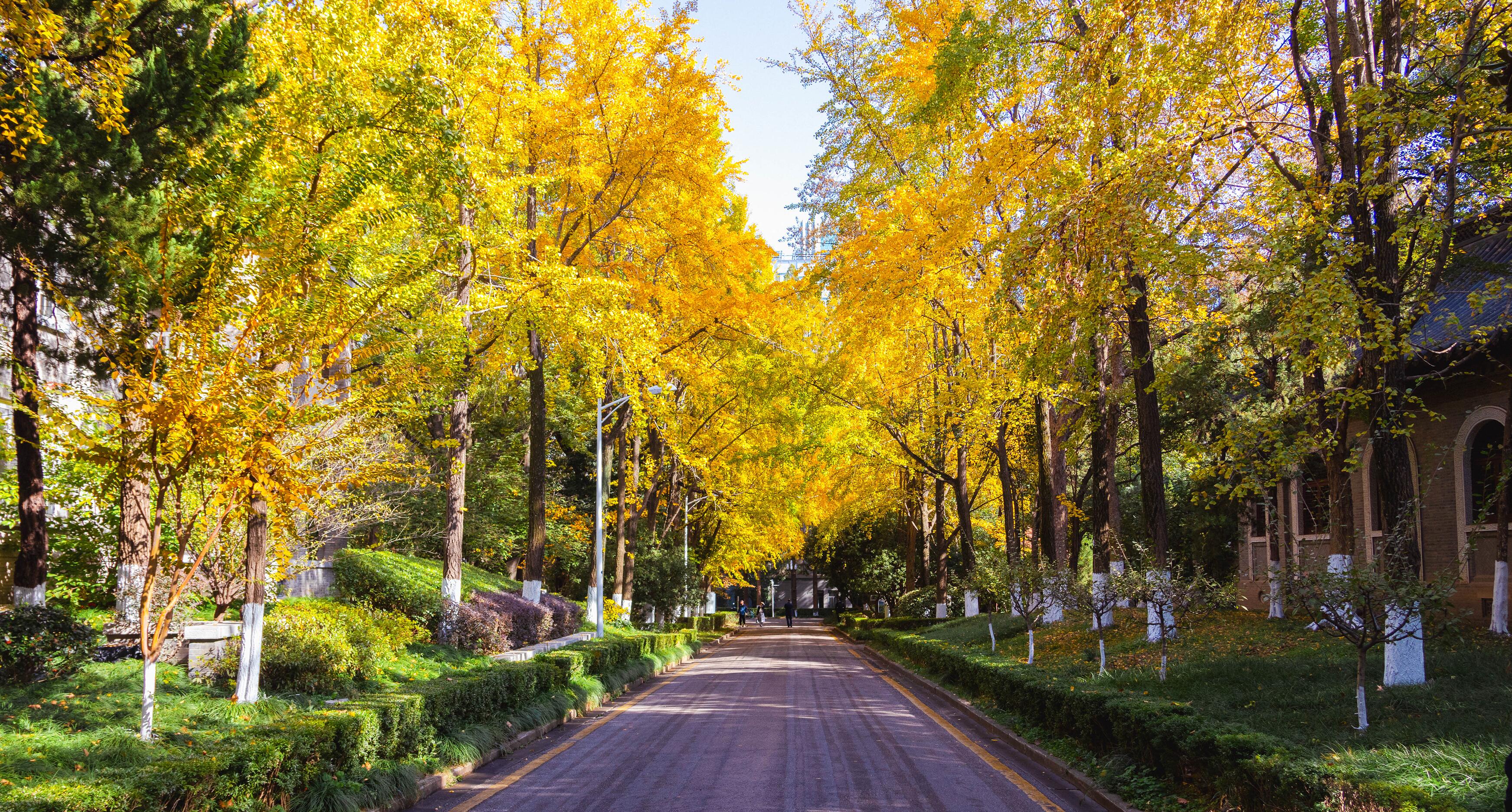世界杯投注平台