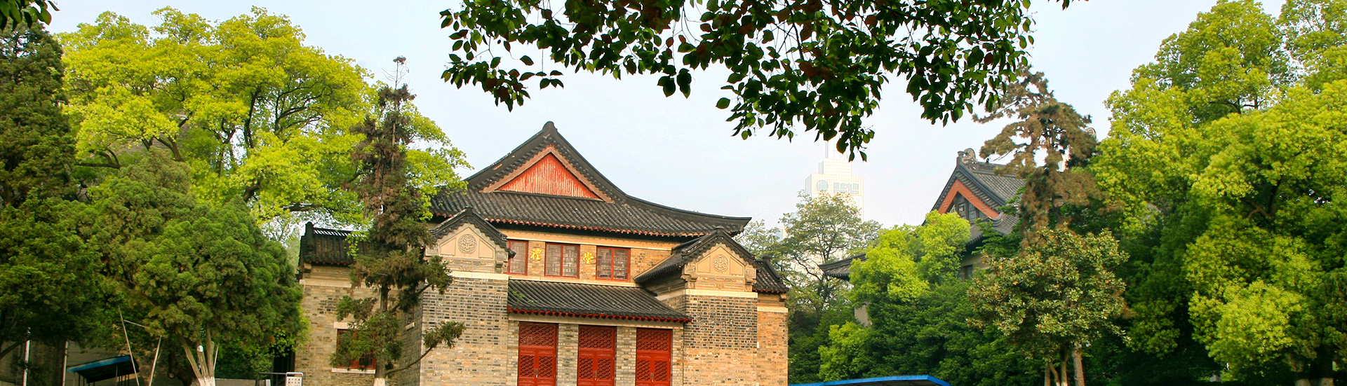 世界杯投注平台