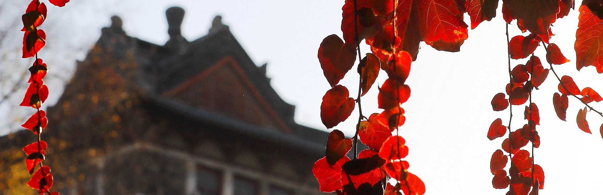 世界杯投注平台