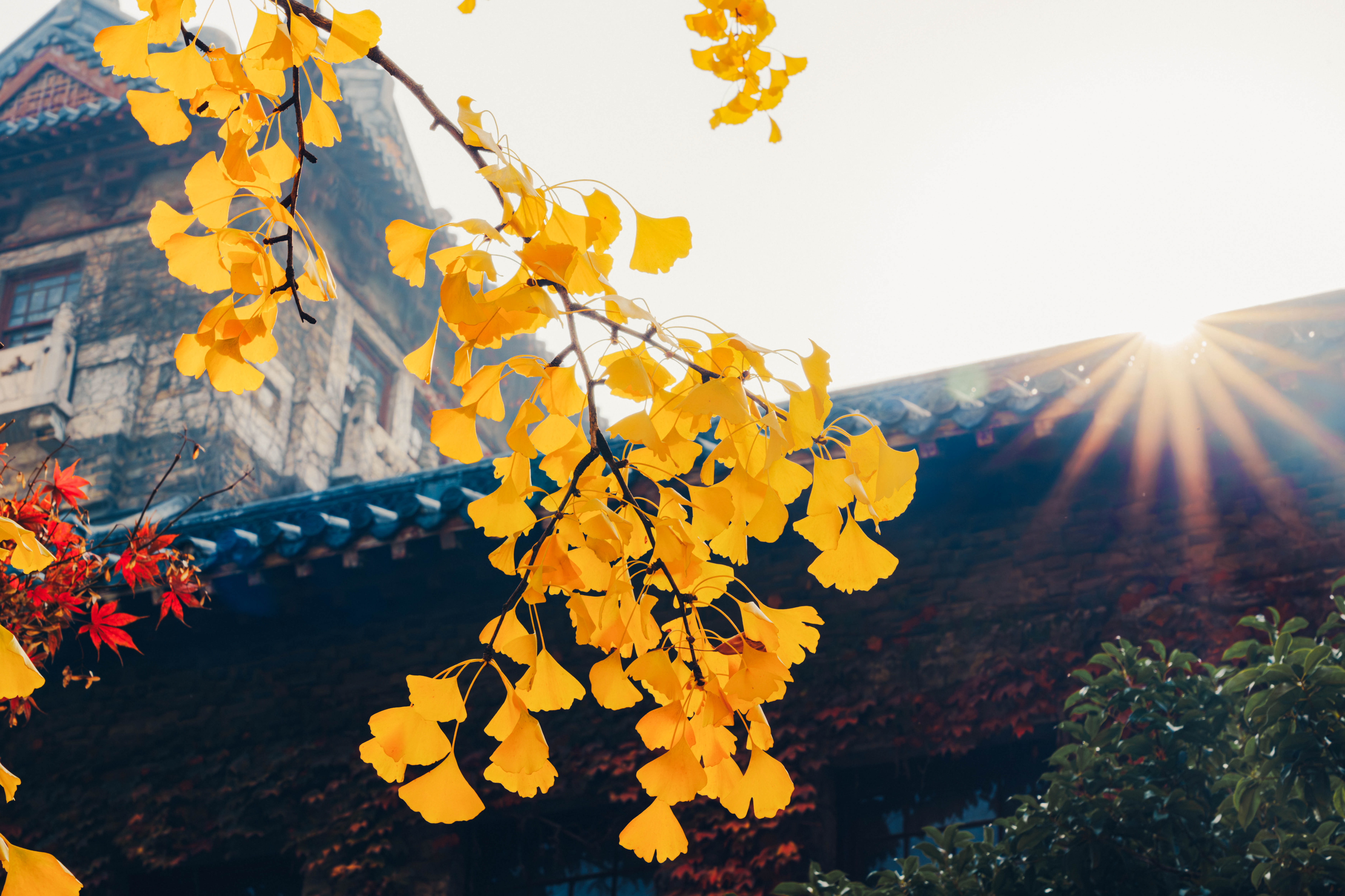 世界杯投注平台