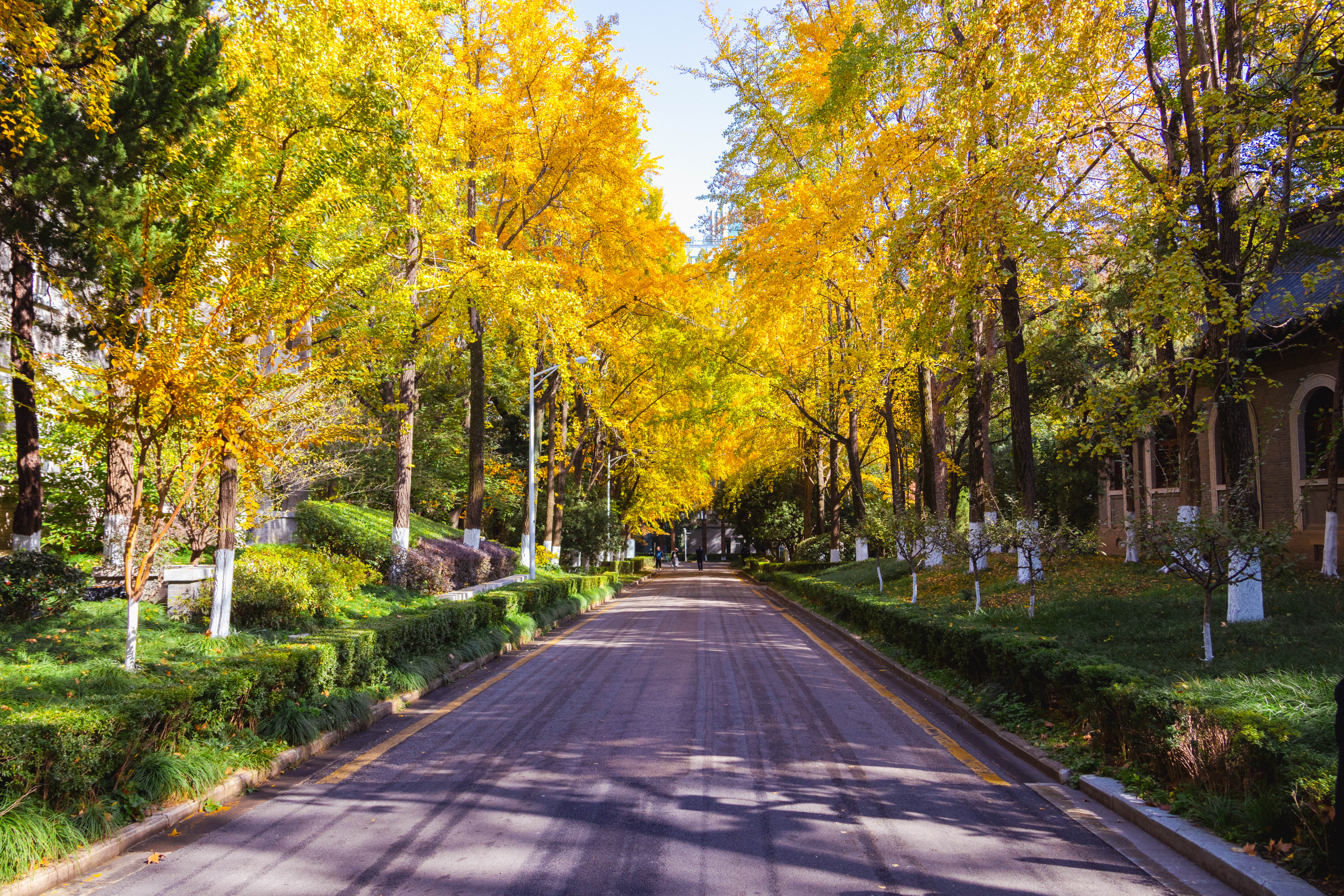 世界杯投注平台